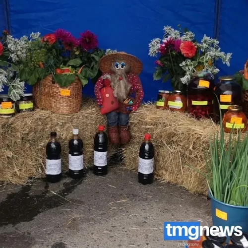 В Кызыле развернулась ярмарка местных товаропроизводителей