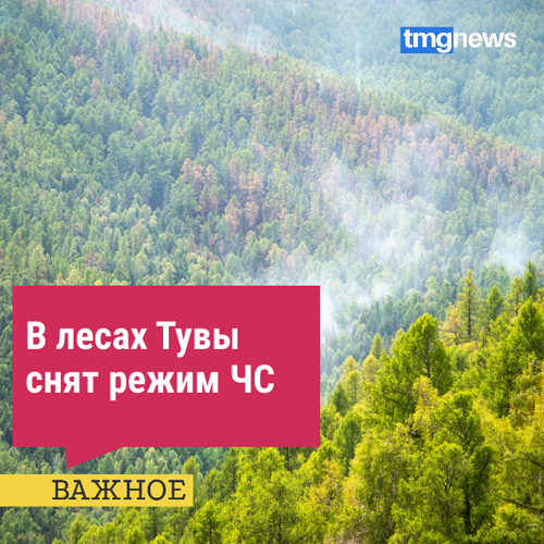 В Туве снят режим ЧС в лесах регионального характера