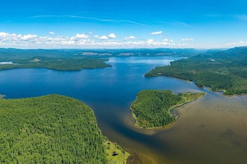 Сегодня - Всемирный день окружающей среды