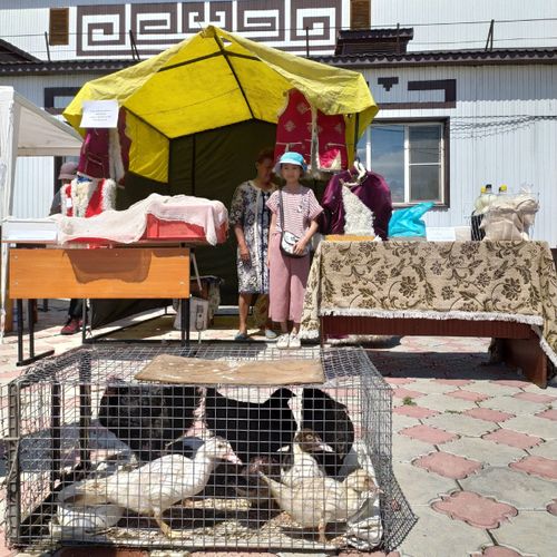 В Чаа-Хольском районе прошла Всероссийская ярмарка трудоустройства