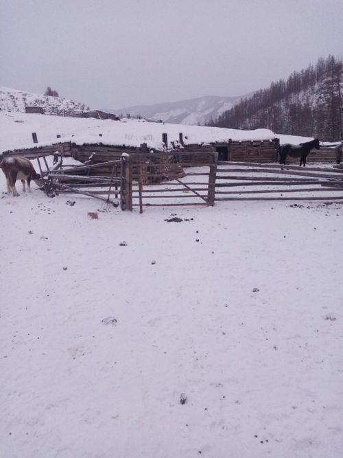 Чиновники Сут-Хольского района навестили чабанов