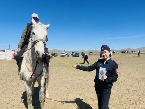 На скачках в Дзун-Хемчикском районе прошла профилактическая акция «Безопасный путь для коней»