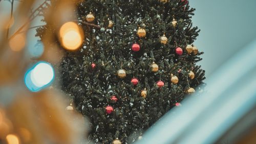 В Туве отказались от закупки украшений и елей на Новый год