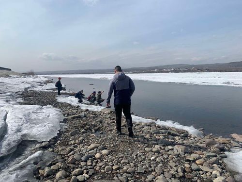 Часкы чайык айыылдыг