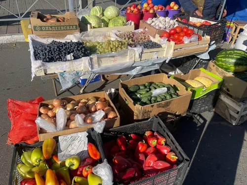 В Туве проходит сельхозярмарка ко Дню работника сельского хозяйства