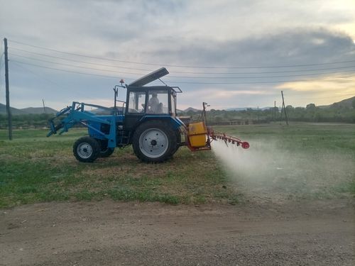В Пий-Хемском районе проводятся мероприятия по уничтожению очагов дикорастущей конопли