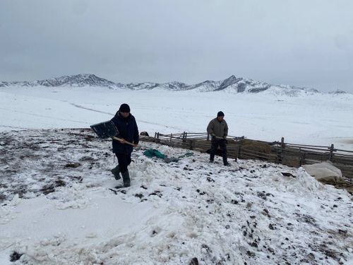 Работники Дома культуры села Нарын помогли чабанам расчистить снег