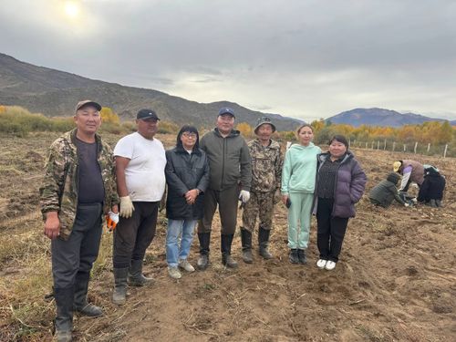 «Кладовая семьи» в Туве: картофельный проект обеспечивает продовольственную безопасность района