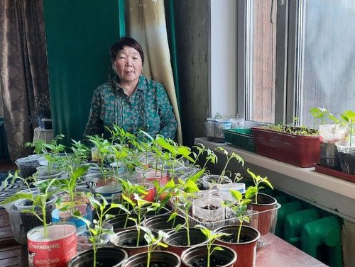 Огород ажылынче шымнып кириптеринге белен