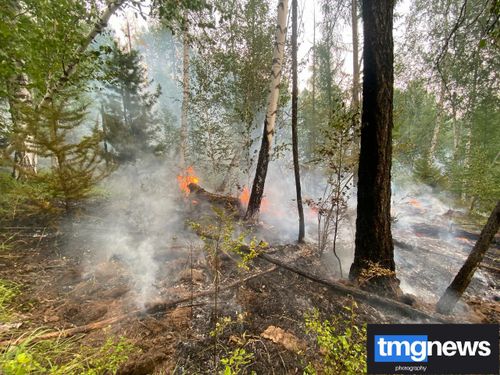 Глава Тувы Владислав Ховалыг принял решение ввести в республике режим ЧС регионального значения.