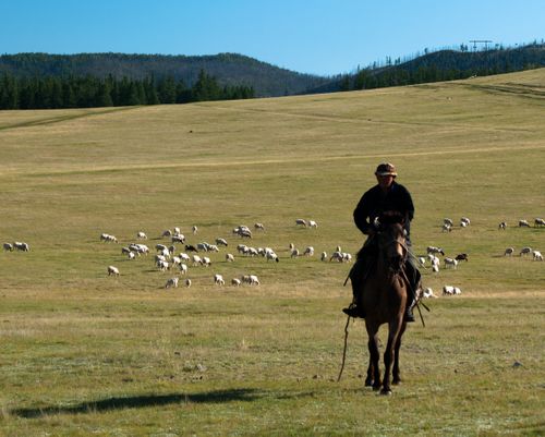 В Туве проходит финальный этап конкурса “Ыраажы малчын”