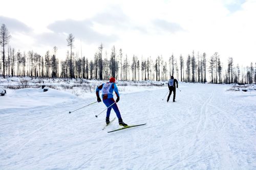 Сегодня День зимних видов спорта в России