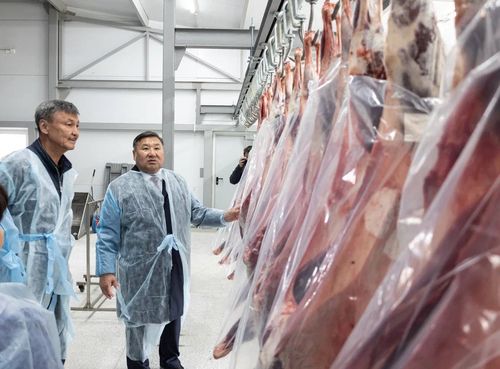 В Кызылском районе открыли мясоперерабатывающий цех