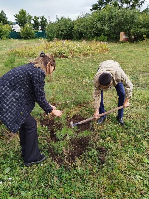 В Туве стартовала всероссийская акция «Сохраним лес»