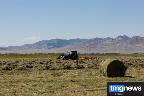 Служба ГО и ЧС напоминает о важности соблюдения правил пожарной безопасности при заготовке сена