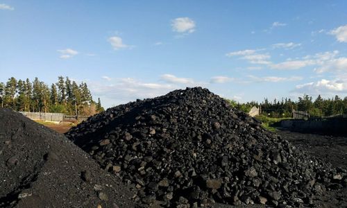 «Социальный уголь» будут доставлять до конца октября