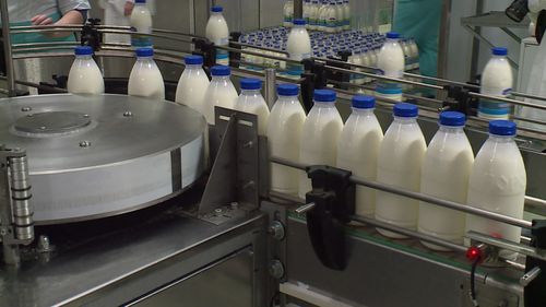 В Туве вырос спрос на местное переработанное молоко