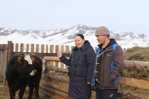 Инек сүдүнден шөйген быштак кылып...