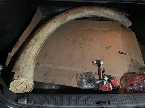 Вопрос дня: Куда сдавать ценные археологические находки?