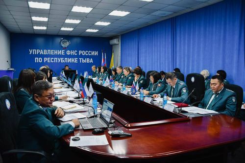 Владислав Ховалыг: «Налоговые поступления – основа для развития экономики и социальной сферы»