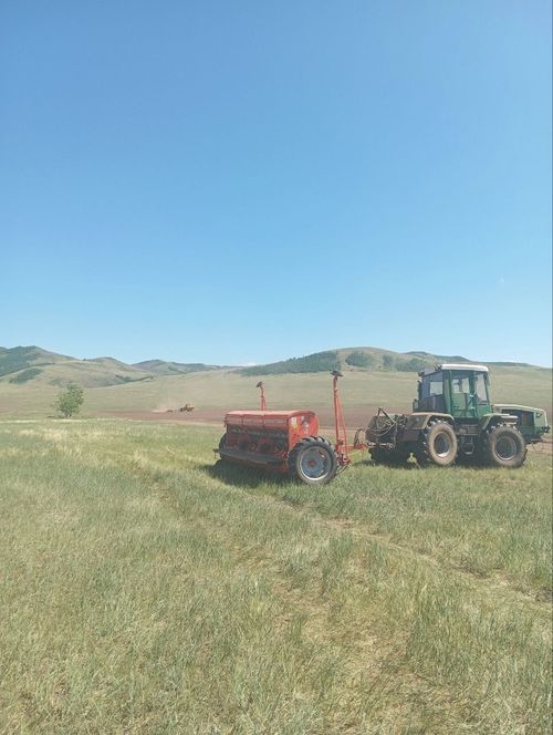 Студенты агропромышленного техникума Тувы принимают участие в посевной кампании