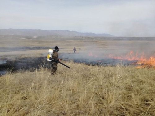 В Туве расследуют причины возгорания сухой травы