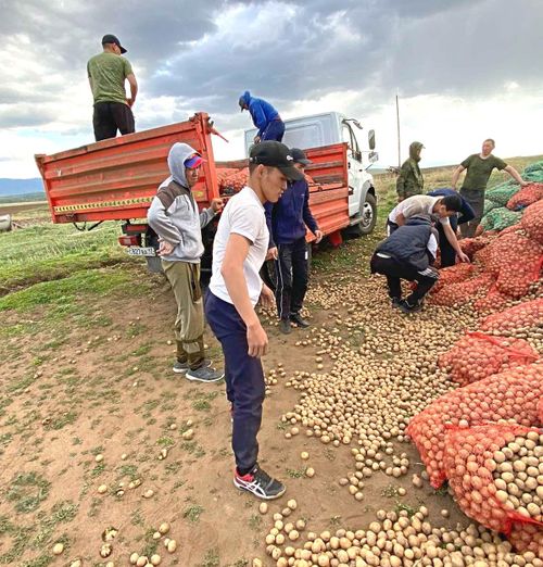 Студенты ТувГУ начали активно помогать региональному фонду поддержки участников СВО «Защитники Отечества»