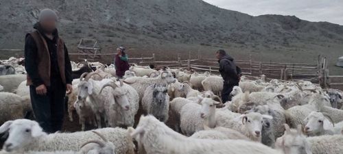 Ветеранам СВО из Тувы помогают с трудоустройством