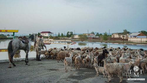 Правительство Тувы оказывает всемерную поддержку жителям пострадавших от половодья районов