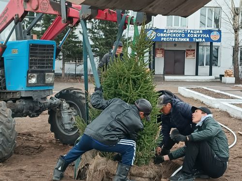 В Овюрском районе появился «Сад памяти»
