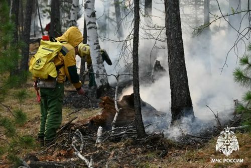 В Туве за сутки пожарными ликвидировано три лесных пожара