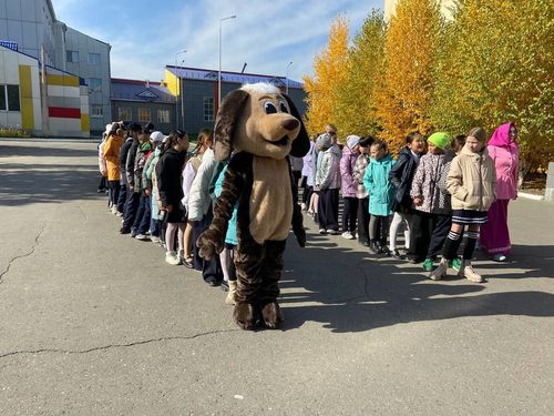 Всемирный день защиты животных в Туве встретили добрыми делами