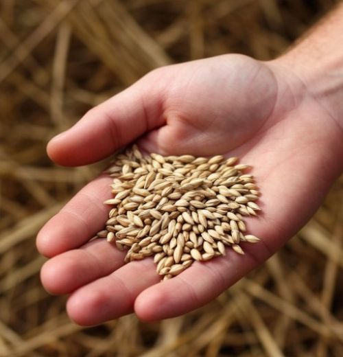 Минсельхозпрод Тувы призывает аграриев заранее готовиться к страховой кампании