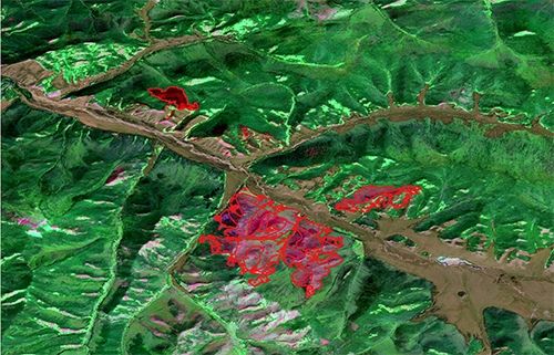 Дистанционный мониторинг лесов в Чаданском лесничестве выявил изменения в санитарном состоянии