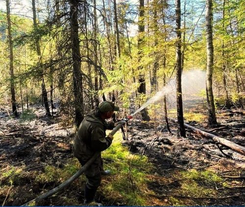 В Туве зарегистрировано 10 лесных пожаров на площади 2790,5 га