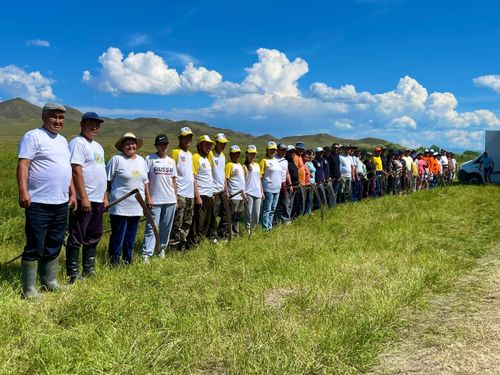 В Туве продлили сроки конкурса по заготовке грубых кормов ручным способом