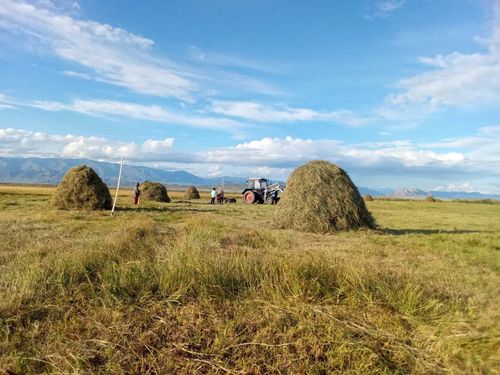 Улуг-Хемский район успешно выполняет план по кормозаготовке