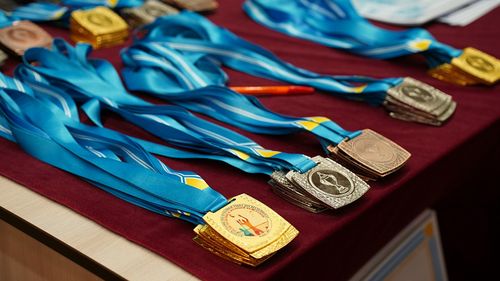 2025 чылдың түңнелдери: Тываның спортчулары 600 ажыг медальды чаалап алган