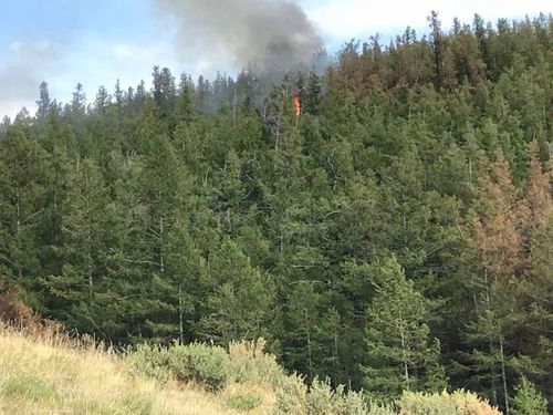 В Туве отменили режим ЧС регионального характера