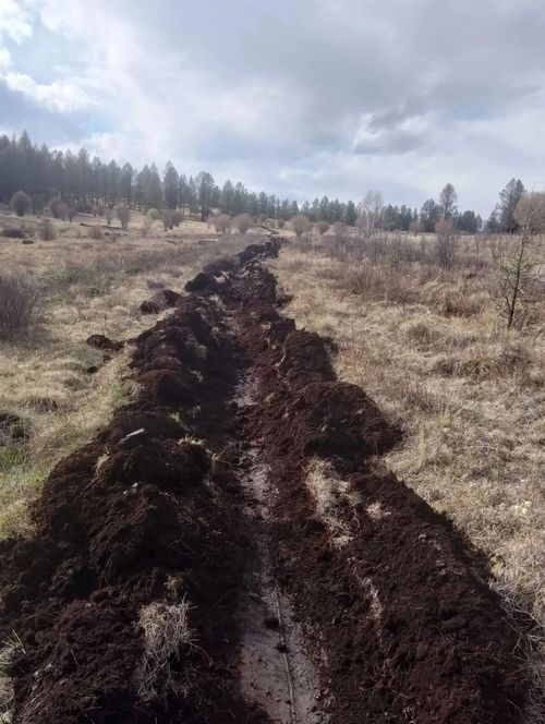 В лесах Тувы завершается подготовка к пожароопасному сезону
