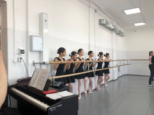 Хореографический ансамбль "Алантос" участвует в проекте «Степени к успеху»