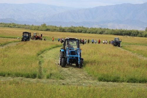 В Туве планируют вернуть в оборот более 700 га залежных земель