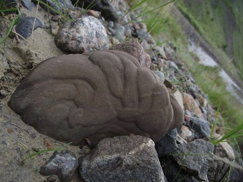 Туда, куда манит Тува: чудо природы – Чараш-Даш