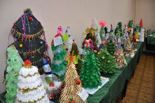 В Туве стартовал экоконкурс поделок среди детей «Ёлочка, живи!»