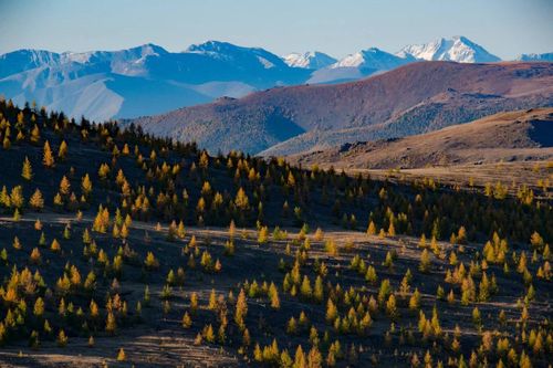 В Туве создадут два новых государственных природных заказника