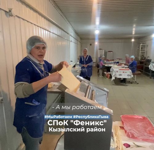 «Мы работаем»: предприятия Тувы присоединились ко Всероссийскому флешмобу