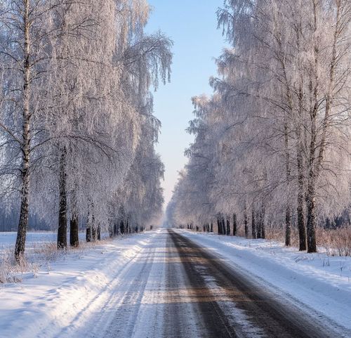 Большую часть Сибири накроют гололёд и морозы до -55°C