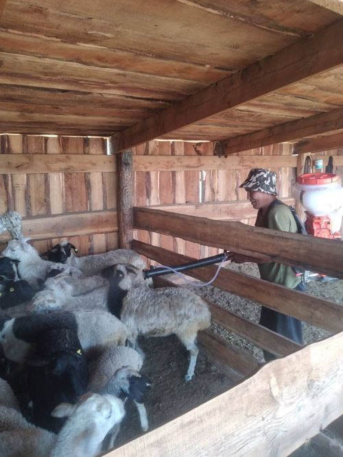 Владислав Ховалыг: «Социальный контракт - это одна из важных мер содействия занятости в регионе»