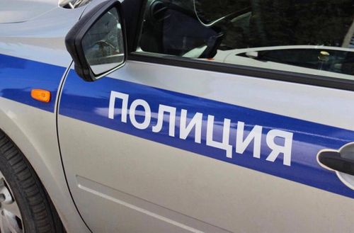 Председатель администрации сельского поселения Тувы получила штраф за сопротивление сотрудникам полиции