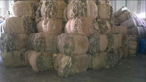 В Туве открыли шесть пунктов приёма шерсти